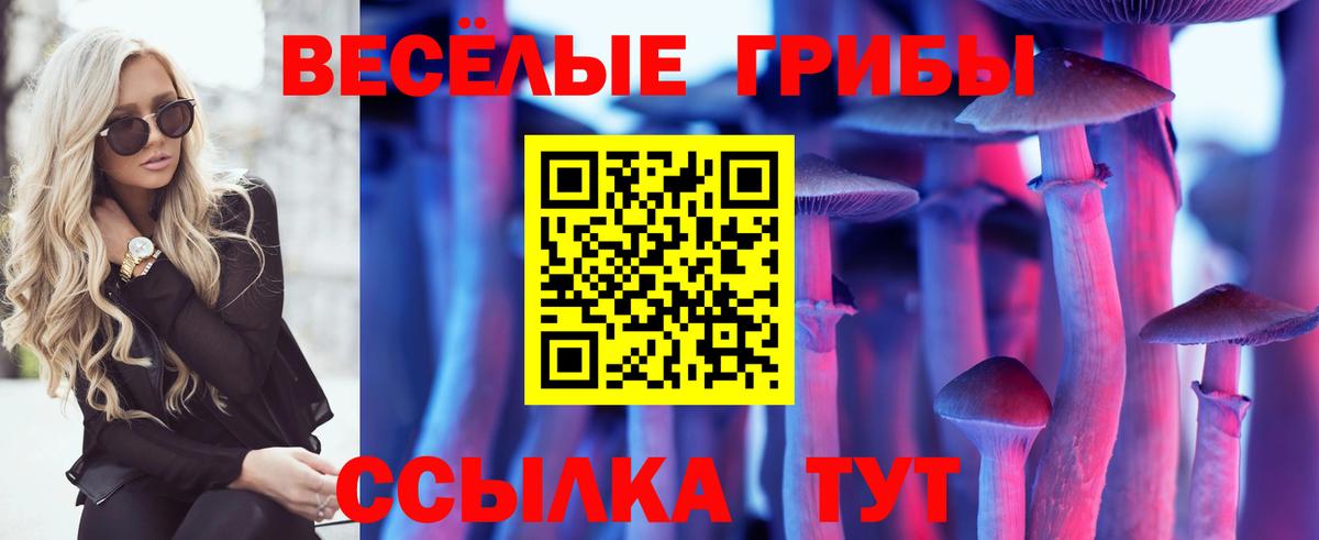 Псилоцибиновые грибы прущие грибы Новоалександровск